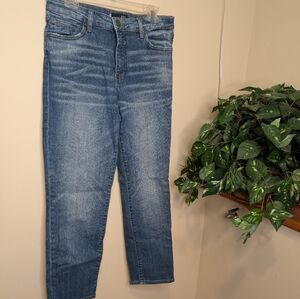 KUT from the Kloth Catherine High Rise Fab Boyfriend Roll Up Jeans – Size 10